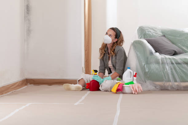 Reliable Basement Mold Removal contractor in Cranford, NJ by WQB Mold Removal